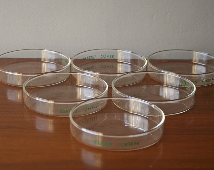Set of 6 Pyrex Laboratory Glassware Petri Dish - Etsy