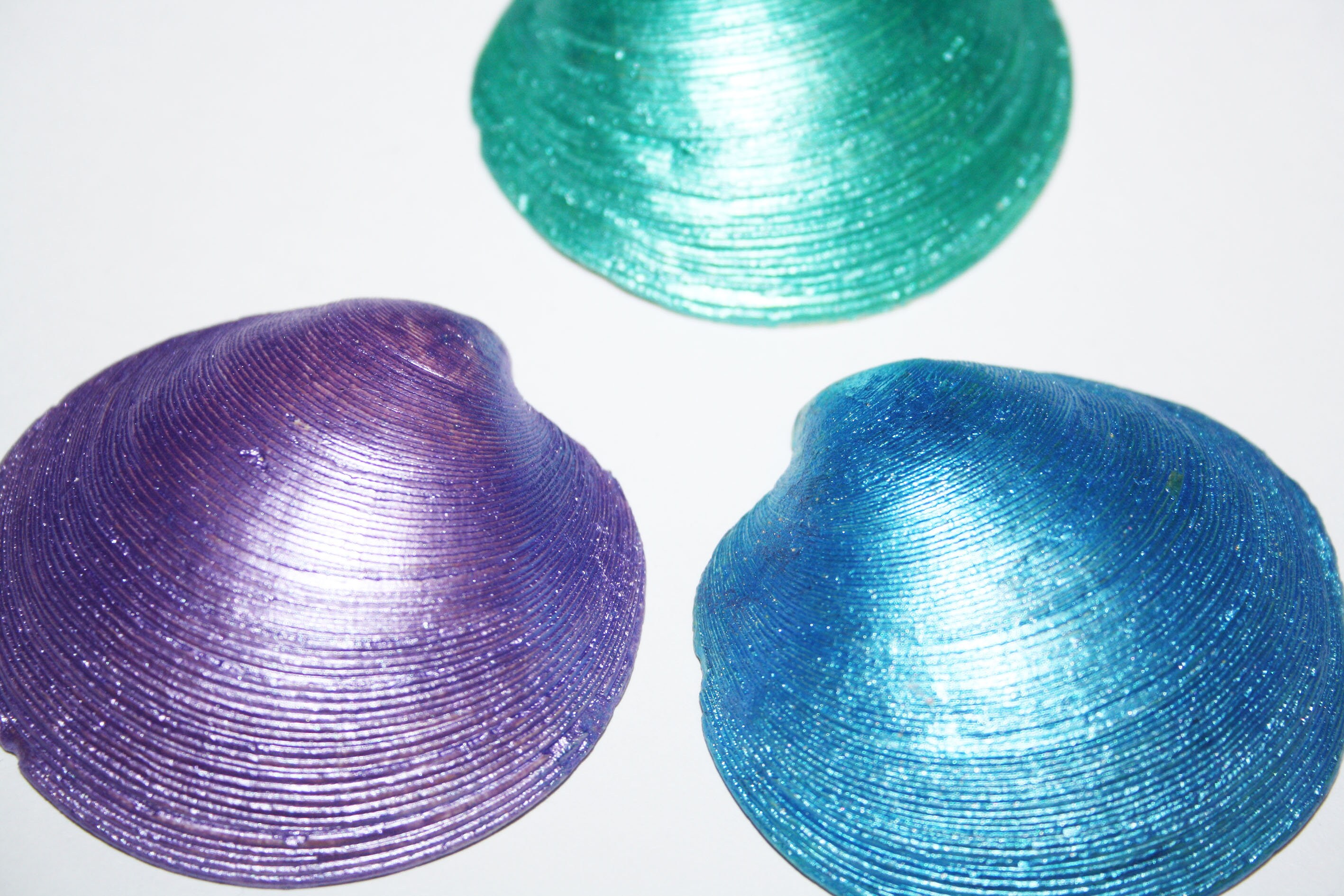 Hand Painted Hard Shelled Clams Shiny Shells 3 pieces Etsy