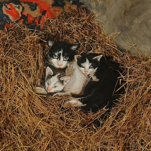 Mother cat and kittens, painting on canvas, fine art, kittens