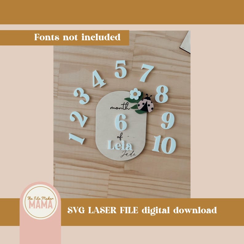 Lady Bug Baby Milestone Cut File | SVG File | Digital Download | Laser ...