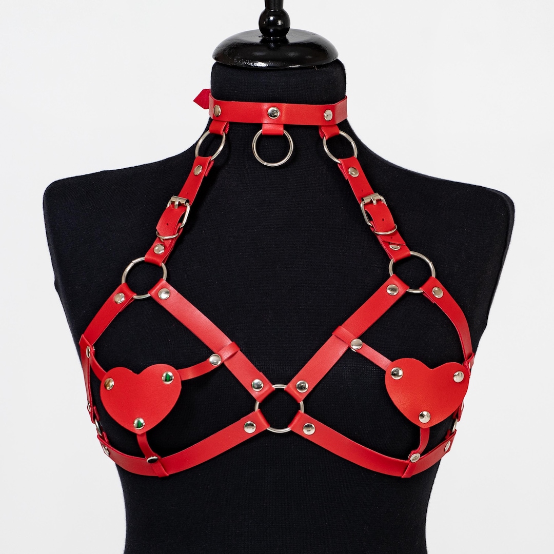 harness for photos