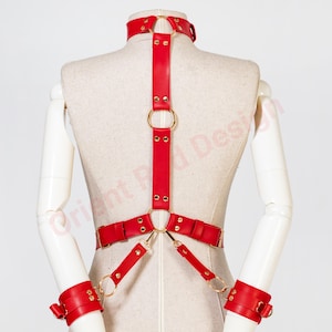 May include: A red harness featuring a choker collar, a vertical center strap, and two waist straps connected by gold-toned metal rings and rivets. The harness includes two matching red wrist cuffs attached to the waist section by thin straps.