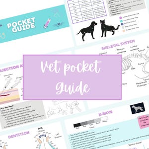 Puede incluir: Una guía de bolsillo veterinaria con ilustraciones y diagramas. La guía incluye información sobre inyecciones, sistemas esqueléticos, rayos X y dentición. El texto es manuscrito, con un fondo lila claro.