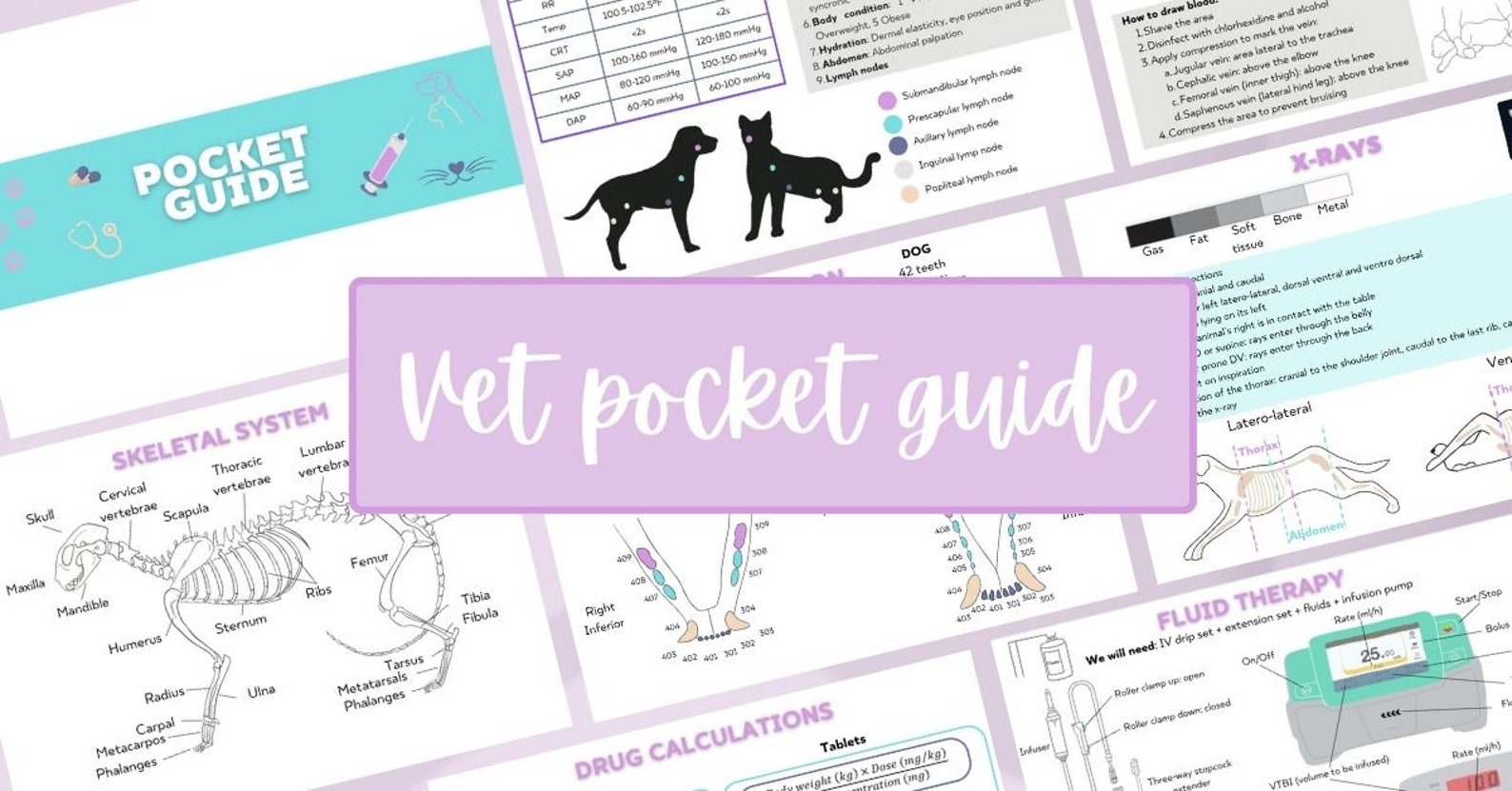 Veterinary Pocket Guide Basic Information For Veterinary Students
