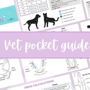 Guía de bolsillo veterinaria: información básica para estudiantes veterinarios y auxiliares, tarjetas de práctica, descarga digital