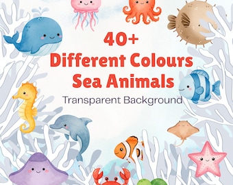 Unter dem Meer Aquarell Clipart Ozean Tiere PNG Bundle