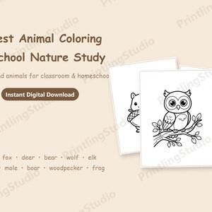 Könnte beinhalten: Ein digitales Malbuch-Set mit dem Titel Forest Animal Coloring Preschool Nature Study mit 15 Seiten Waldtieren. Die Seiten zeigen schwarz-weiße Strichzeichnungen einer Eule auf einem Ast, eines Fuchses und eines Eichhörnchens mit einer Eichel.
