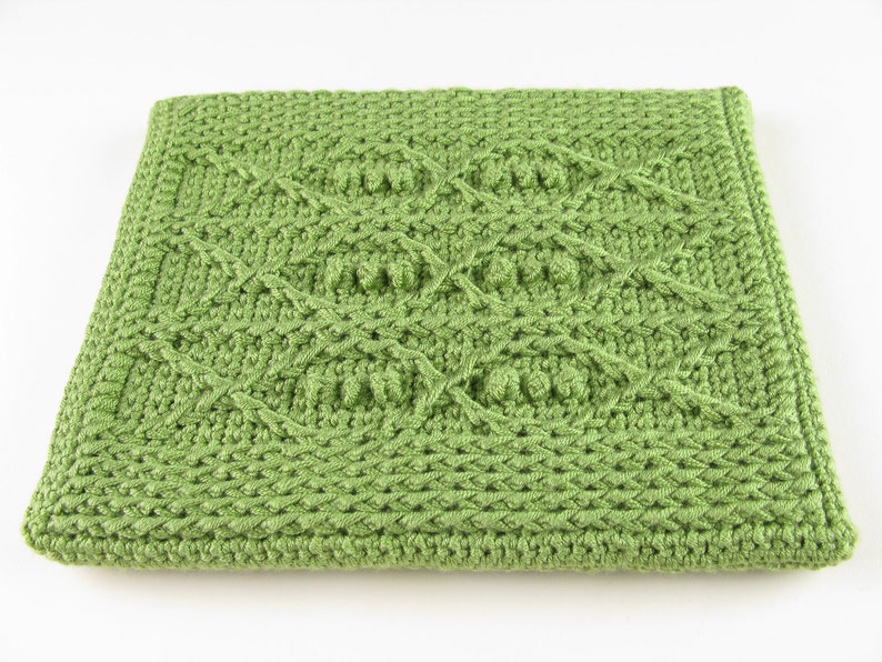 Crochet Pattern iPad Cover Crochet Cable Fish Digital Download PDF Crochet Pattern image 3