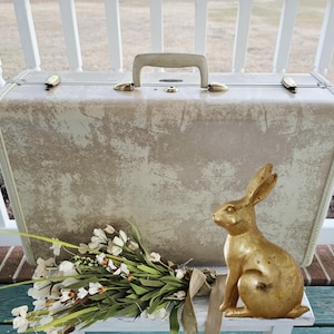 Vintage Samsonite Suitcase: Blonde Luggage, Sage Green Interior
