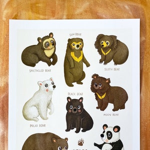 Bears of the World Bear Illustration Art Print Animal Illustration Gender Neutral Baby Nursery Animal Bear Nursery Art Wall Decor image 2