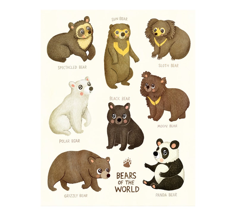 Bears of the World Bear Illustration Art Print Animal Illustration Gender Neutral Baby Nursery Animal Bear Nursery Art Wall Decor image 1