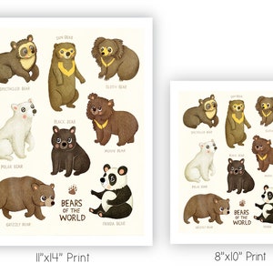 Bears of the World Bear Illustration Art Print Animal Illustration Gender Neutral Baby Nursery Animal Bear Nursery Art Wall Decor image 4