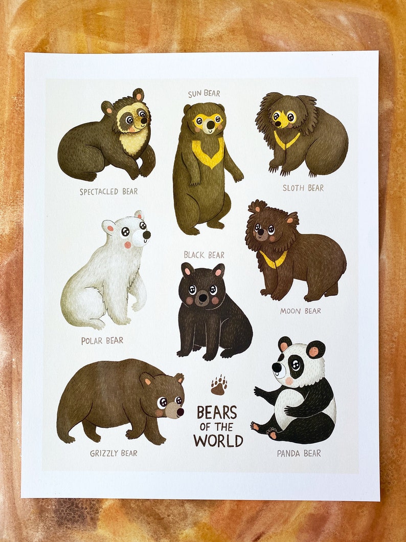 Bears of the World Bear Illustration Art Print Animal Illustration Gender Neutral Baby Nursery Animal Bear Nursery Art Wall Decor image 2