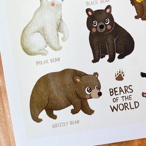 Bears of the World Bear Illustration Art Print Animal Illustration Gender Neutral Baby Nursery Animal Bear Nursery Art Wall Decor image 3
