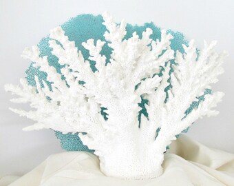 Coral Home Decor Etsy