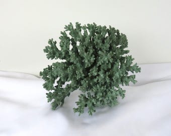 Seafoam Green Painted Lacy Coral, Coastal Display (5 x 4 x 4.5 Inch)