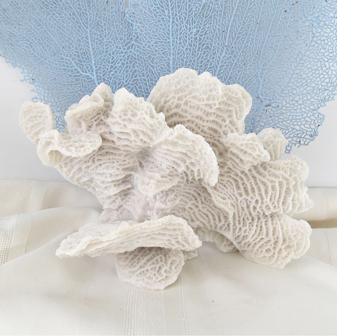 Faux Coral Piece Realistic Resin White Coral Beach Decor