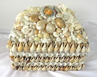 Caja de conchas marinas con coral