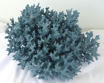 Painted French Blue Lacy Coral, Coastal Decor (8.5 x 8 x 5 Inch)