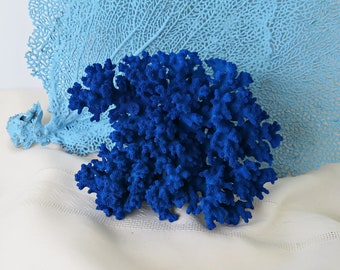 CobaltBlue Real Coral Piece, Painted Cobalt Blue Lacy Coral, 5.5 x 3.5 x 4 Inch Blue Coral Piece, Display, Coastal Sea Life Accent Piece
