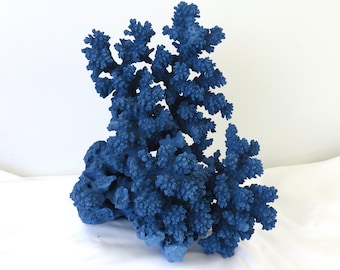 Adorno de coral azul con encaje de flores silvestres, decoración de vida marina costera, 7 x 6.5 x 8 pulgadas.