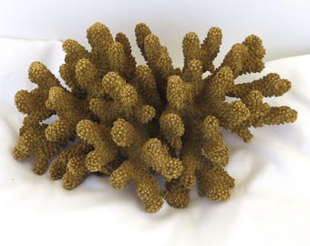 Adorno decorativo de coral con encaje pintado en dorado metálico, coral natural con forma de pata de gato.