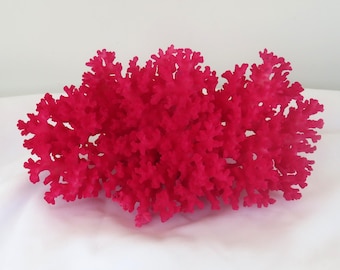 Painted Hot Pink Lacy Coral, Coastal Decor Piece (7 x 4 x 3.5 Inch)