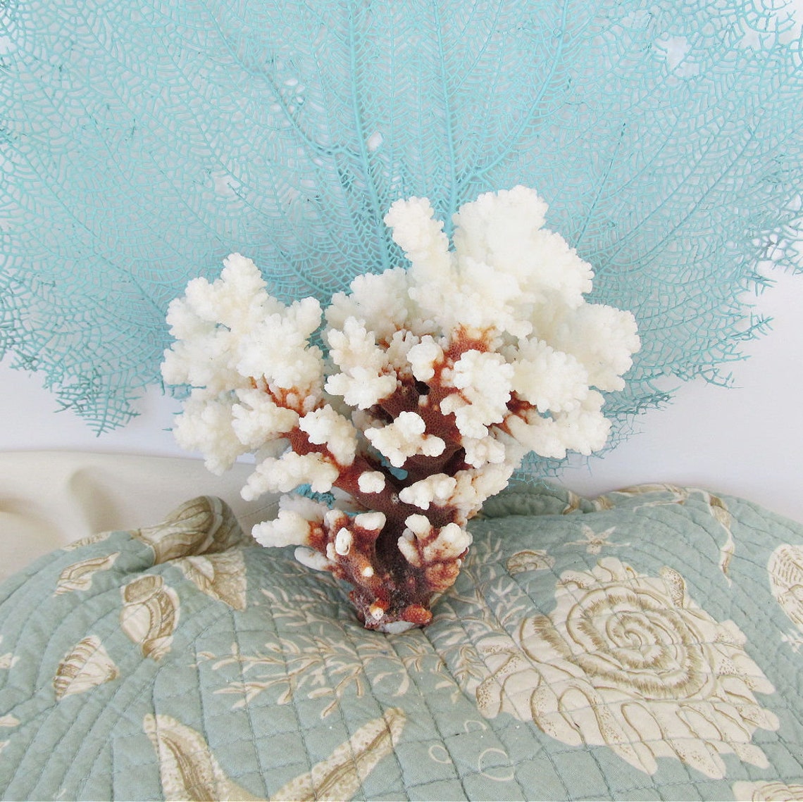 Real Coral Piece Natural White Brown Stemmed Coral Home Etsy