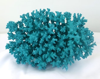Painted Aqua Blue Lacy Coral, Coastal Decor (6.5 x 5 x 3.5 Inch)