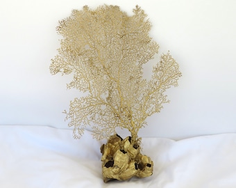 Metallic Gold Sea Fan Barnacle Stand, Coastal Beach Decor