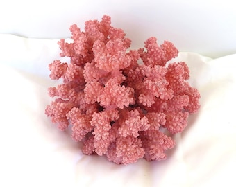 Adorno de coral rosa con encaje, decoración de vida marina costera, 7 x 7 x 4 pulgadas.