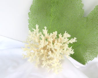 Pieza de coral blanco natural con encaje, decoración costera (5 x 5 x 3 pulgadas)