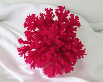 Coral de encaje rosa intenso pintado, pieza de decoración costera (5,5 pulgadas cuadradas)