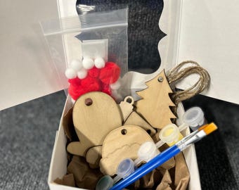 Decorate Your Own Christmas Ornament Kit – DIY Holiday Craft Set for Kids & Families