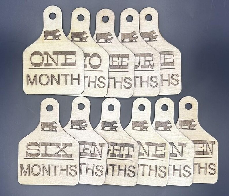 Farm Animal Baby Milestone Tags: Engraved Wooden Ear Tag Photo Props - Etsy