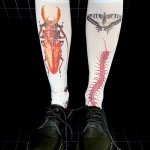 May include: A pair of white knee-high socks with insect illustrations. The left sock features a large beetle, while the right sock has a butterfly and a centipede.