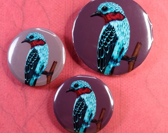 Spangled Cotinga - Button