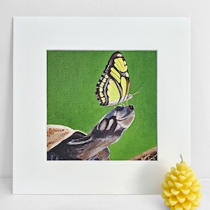 Turtle and Butterfly Art Print