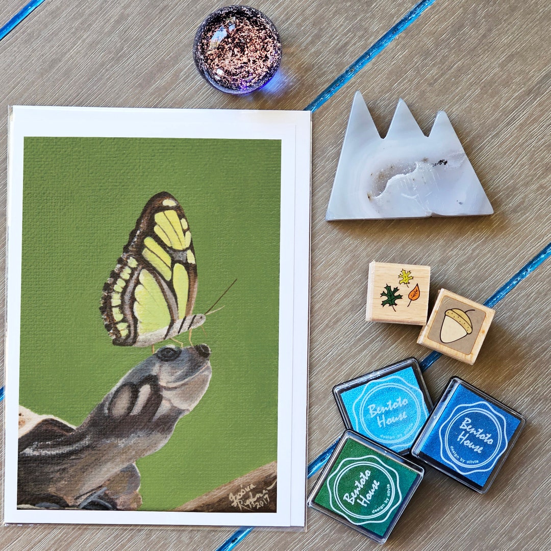 Blank Greeting Card - Turtle and Butterfly - Etsy
