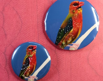 Strawberry Finch - Button