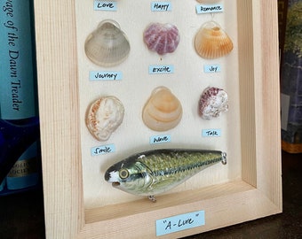 A-lure | Shell Art | Framed Shell Art | Shells in a Frame | Nautical Art | 6 x 8