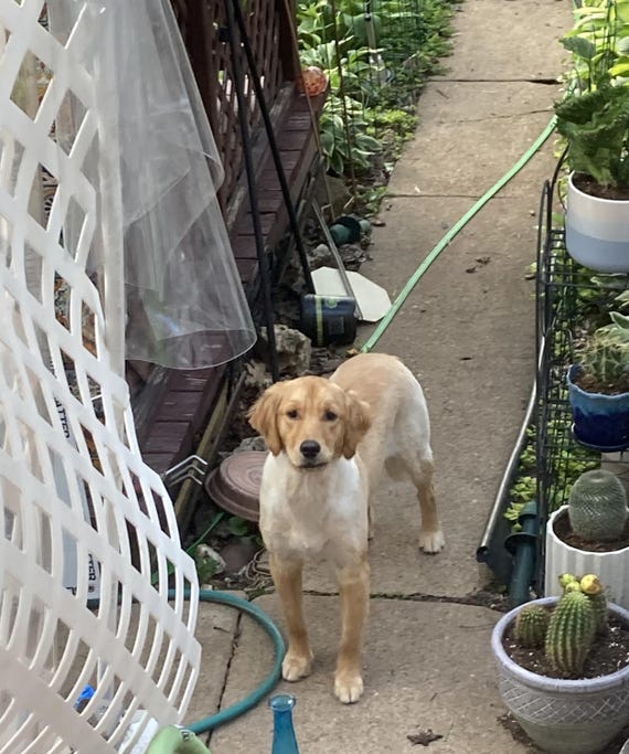 40pc, Bangle Stack, Silver, Copper, Brass, Vintag… - image 6