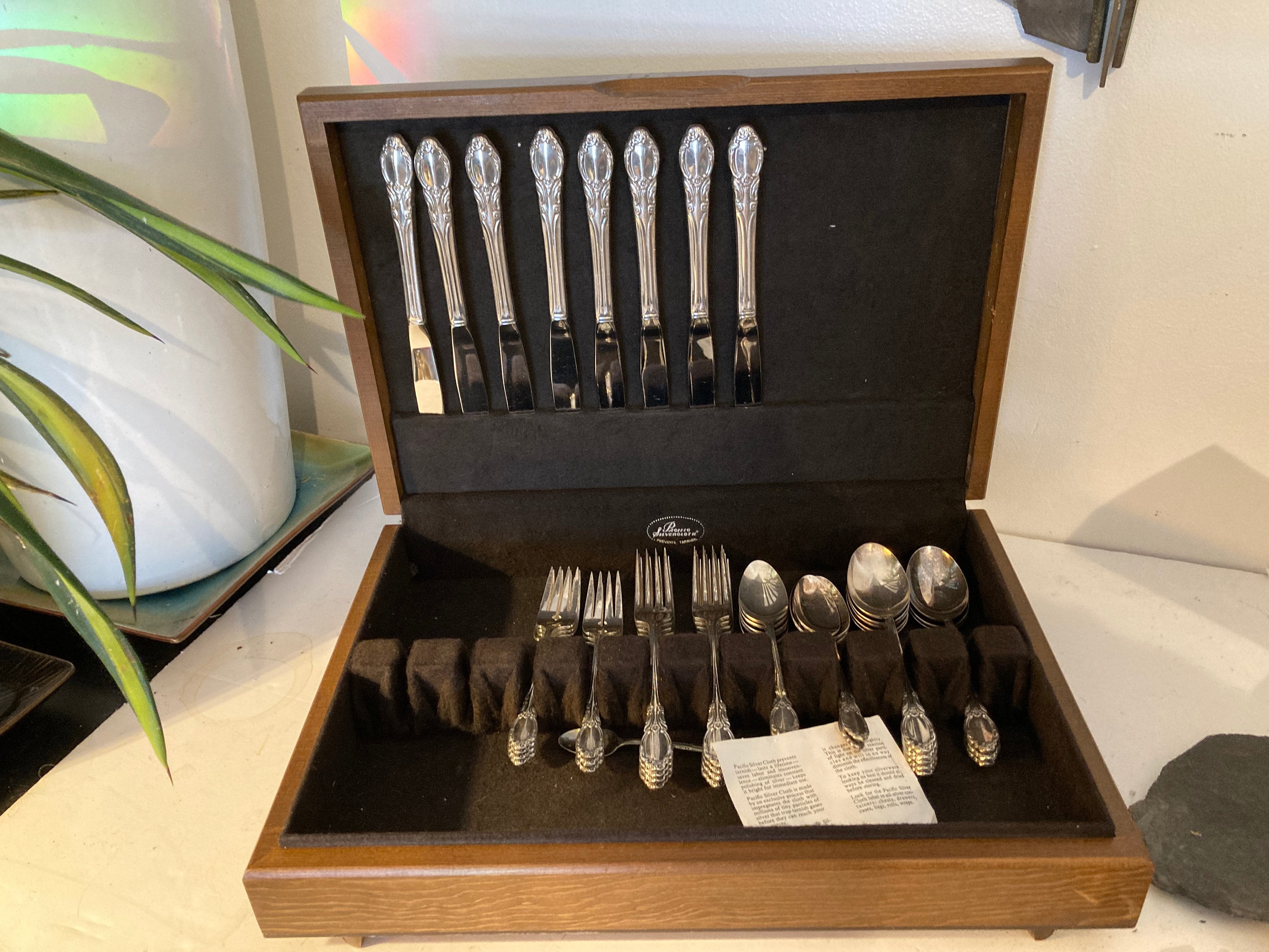 Pacific silver cloth silverware set best sale