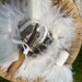 see more listings in the Shamanic Drums & Rattles section