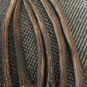 Deer Antlers - ethically sourced Large