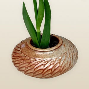 Può includere: Un vaso in ceramica fatto a mano con un esterno strutturato e decorato con motivi nei toni del marrone e del beige. Il vaso contiene diverse foglie verdi lunghe, creando un'esposizione naturale. Il vaso ha una forma rotonda con un'apertura centrale.