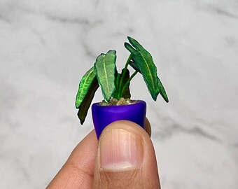 Handgemaakte miniatuur alocasiaplant – poppenhuisplant schaal 1/12