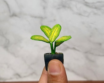Handgemaakte miniatuur Dieffenbachia-plant – poppenhuisplant op schaal 1/12