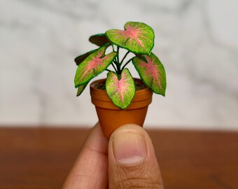 Handgemaakte miniatuur caladiumplant - poppenhuisplant schaal 1/12
