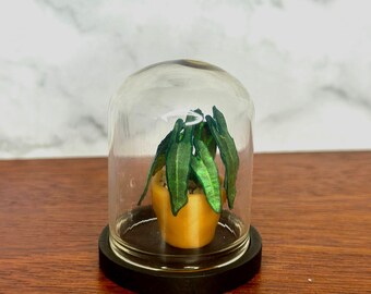 Handgemaakte miniatuur alocassia-plant in glazen stolp, poppenhuisdecor